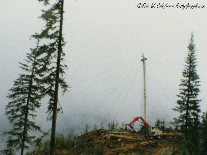 Skagit BU-199 at Mike Graves Log