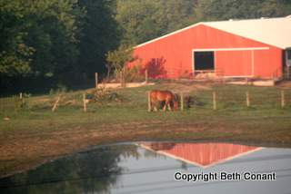 Making pretty reflections here and there.