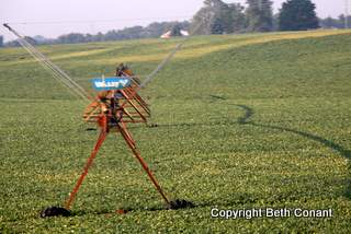 I've always loved these irrigation thingies!