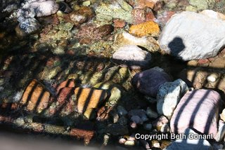 On the footbridge, Ron shoots rocks and I shoot shadows and rocks.