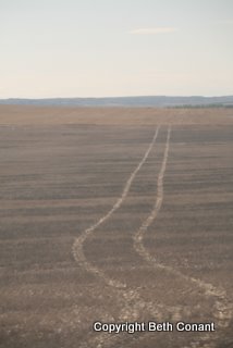 Montana is in the midst of drought!