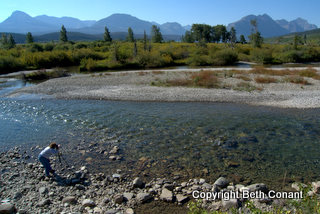 The trip ends with a stop at St. Mary's Creek with a view to the mountains.