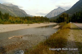 Then we drive up the Sun Road again, but stopping along MacDonald Creek which is running slowly in Fall.