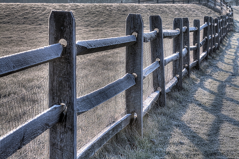 Frosty Fence at Knox