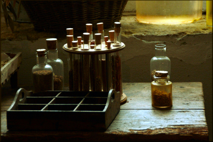 in the kitchen of the witch