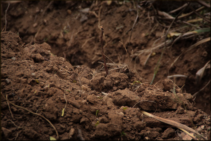 Rural Textures