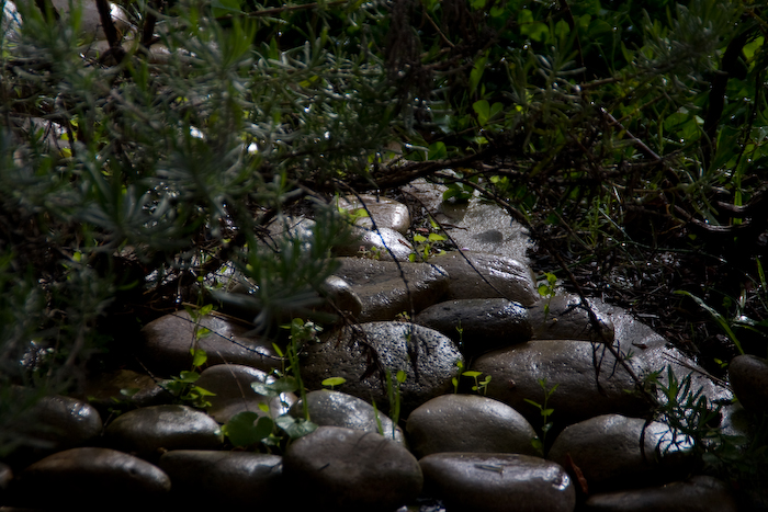 wet path