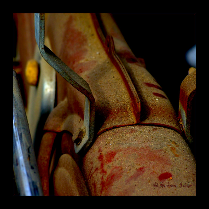 moped detail