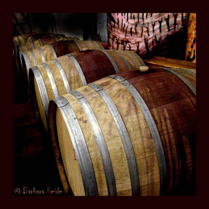 the wine is safely fermenting now...