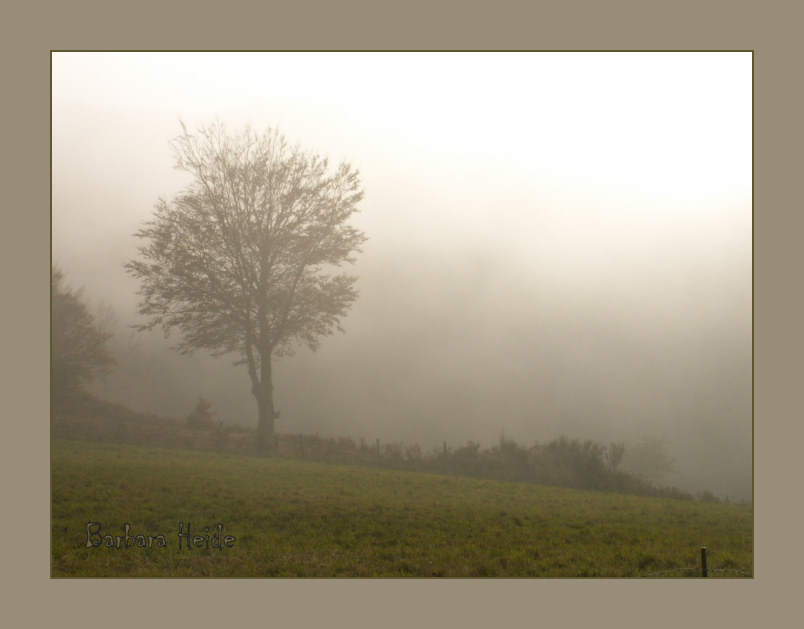 misty mood