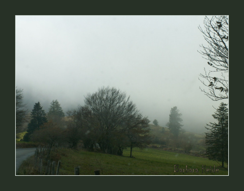 misty mood