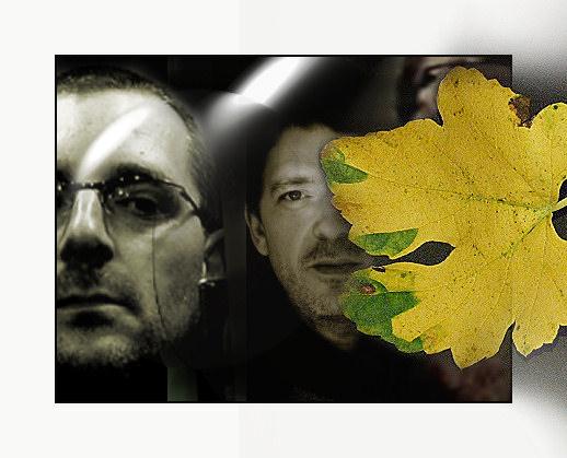 fallen leaf on pbasers