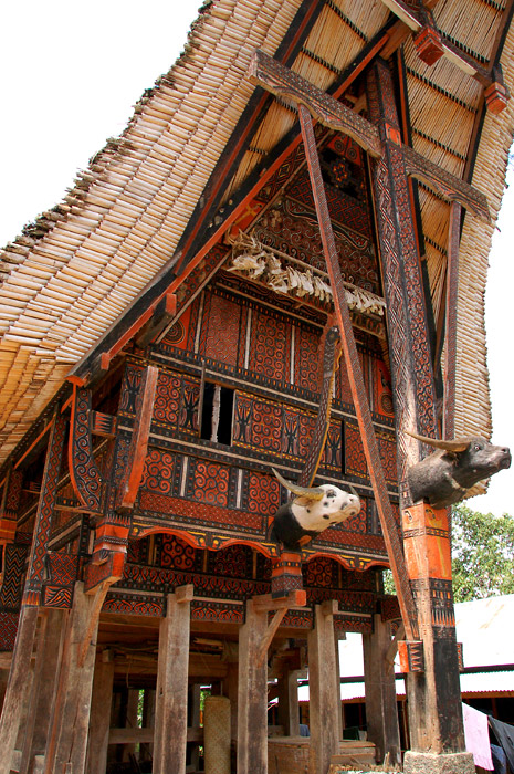 Torajan house, Sulawesi