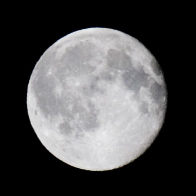 DSC_6657_1.jpg