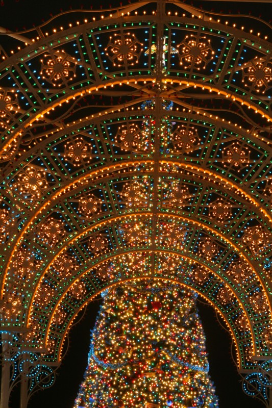 justin disney 08 150.jpg
