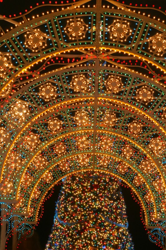 justin disney 08 151.jpg