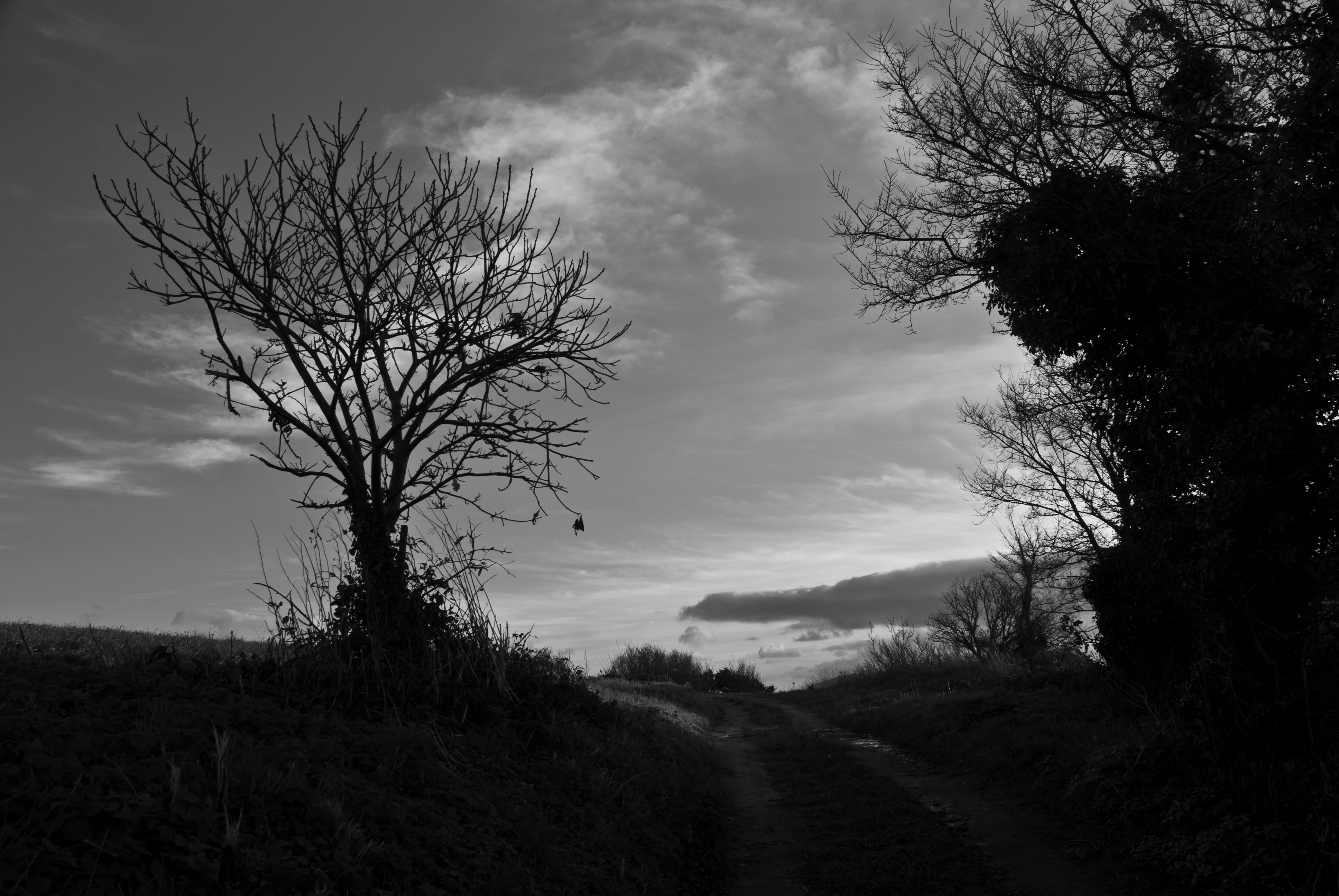 Field St.Clements