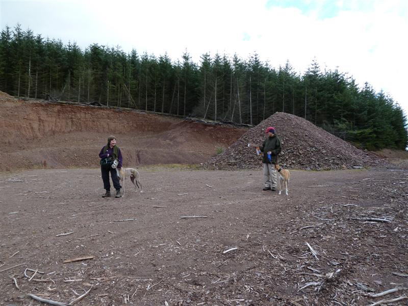 A deer was just sighted near this quarry