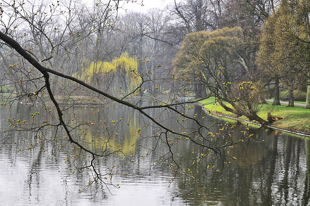 DSC_7185warszawa.jpg