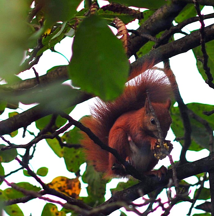 DSC_8674.jpg