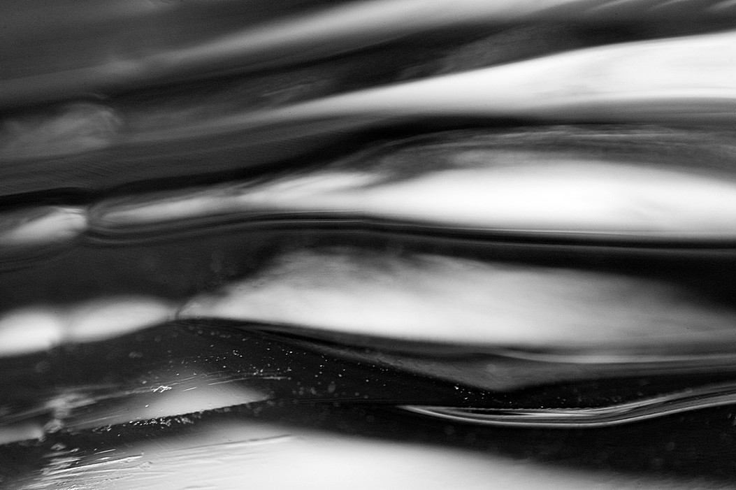 DSC_5404 bw .jpg