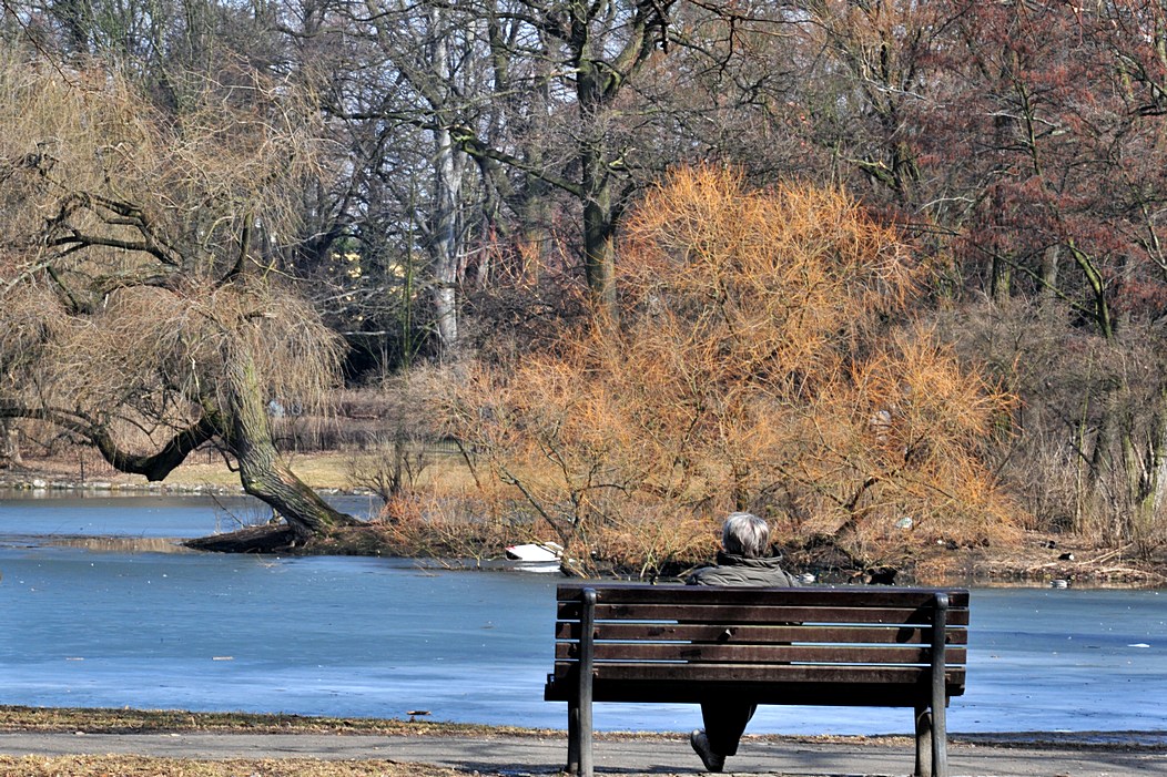 DSC_4814a.jpg