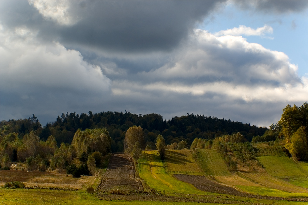 Turzyniec,on Roztocze