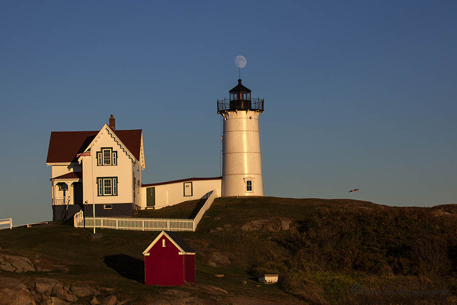 Nubble Light