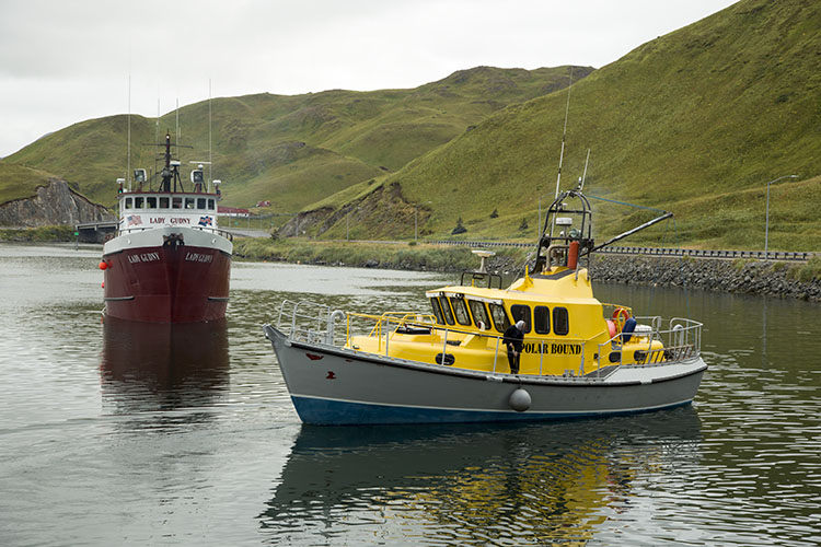 Polar Bound and Lady Gudny