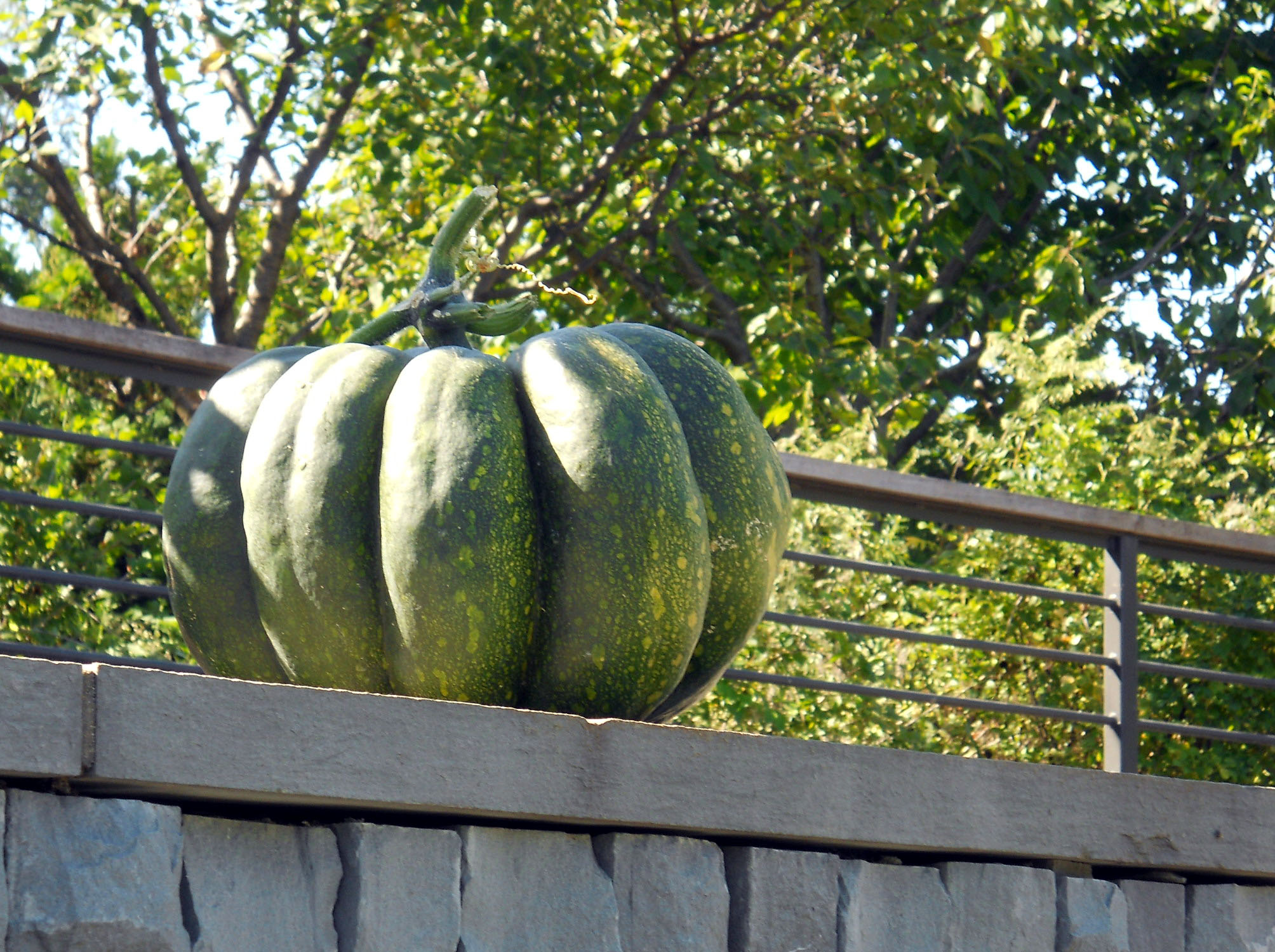 DSCN2832.jpg
