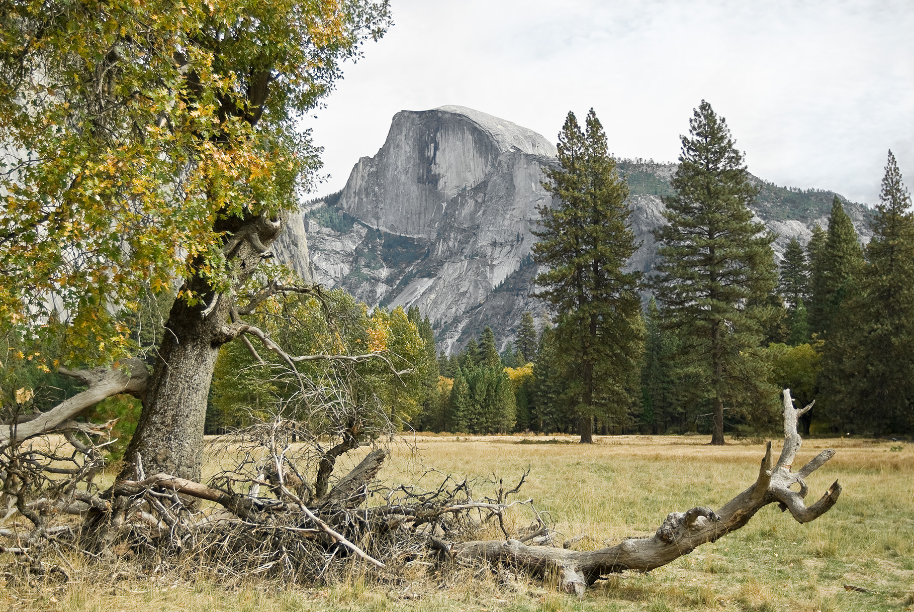 Half Dome - Yosemite Valley