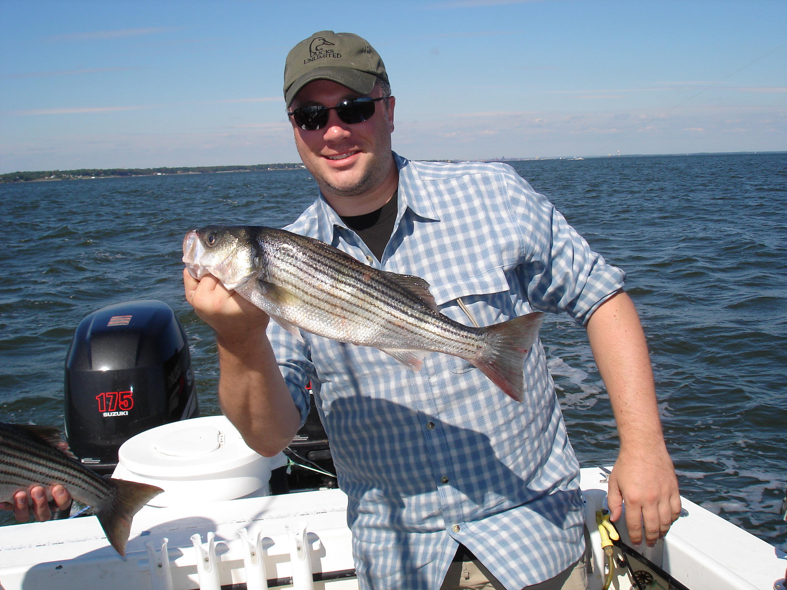10/3/2008 Robertson Charter