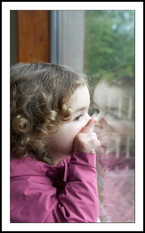 Window