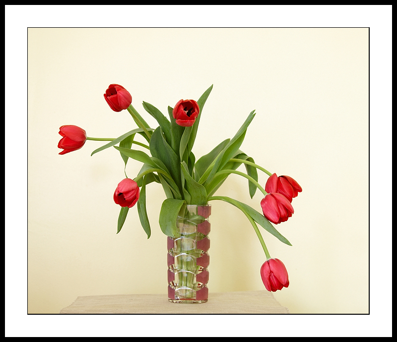 Tulips