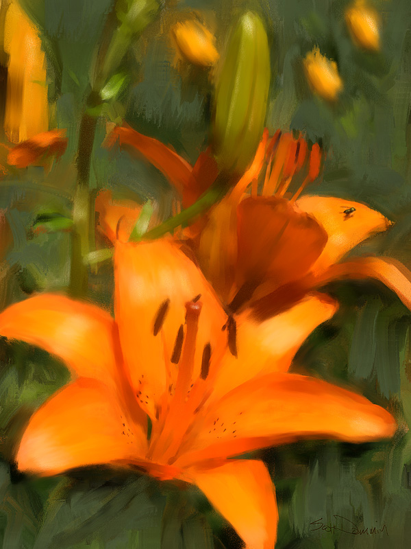 Day Lily & FlyMerrimack, NH