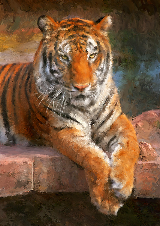 Portrait of a TigerOrlando, FL