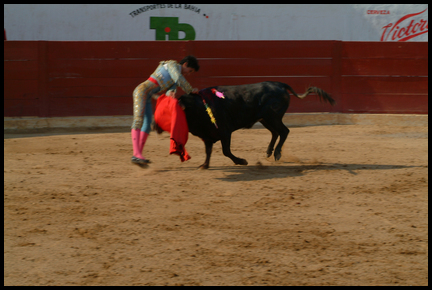 Bullfight-003