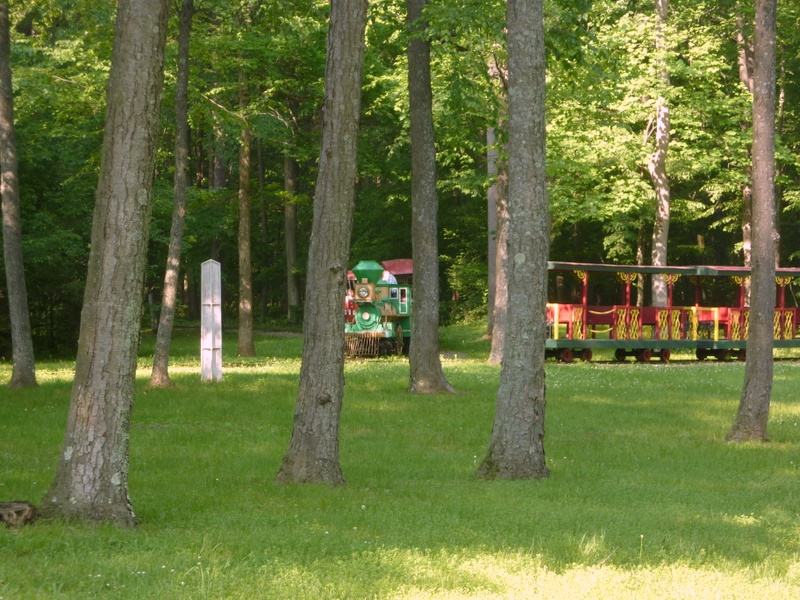 P1040012.JPG