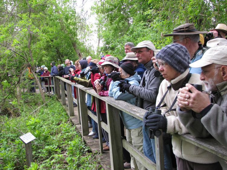 People at Magee Marsh