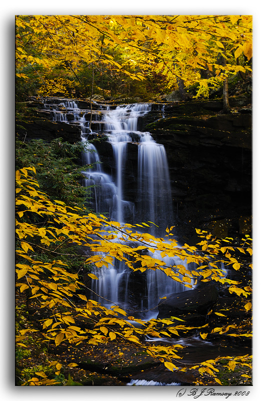 Tuscarora Falls