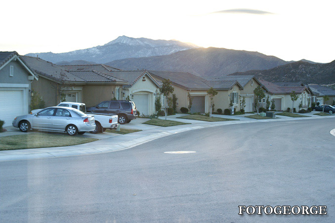DAWN-PICT0003-copy.jpg