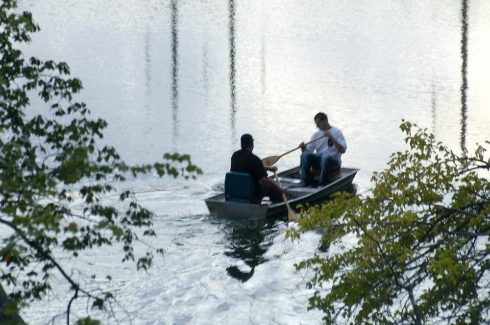 Merrily, merrily, merrily...