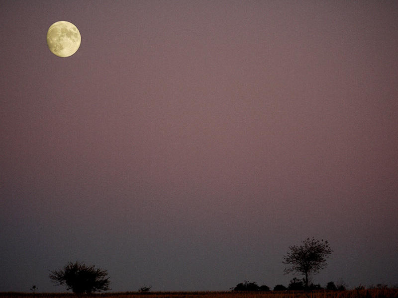 Lune du Barthas-1190137.jpg