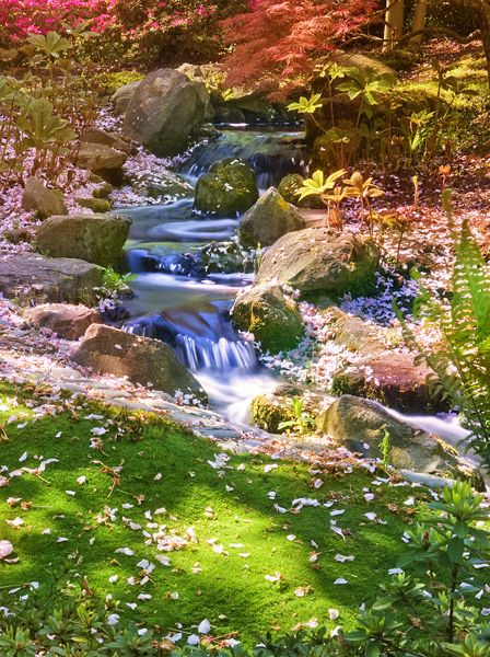 Keukenhof (dream version)