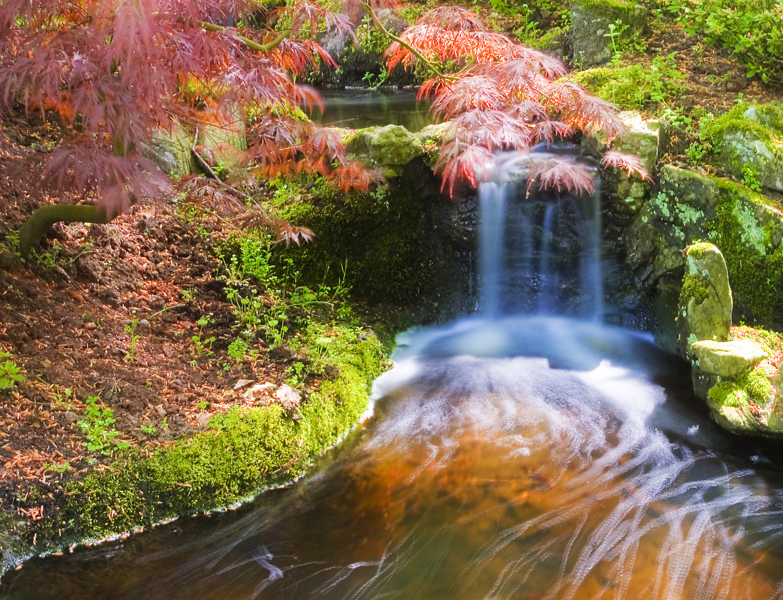 Keukenhof (dream version)