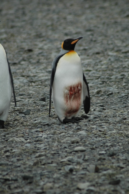 DSC_0183.JPG