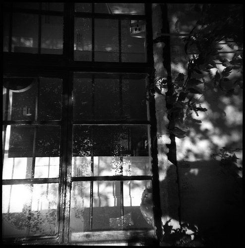Palace Wharf Studios - terrace #2