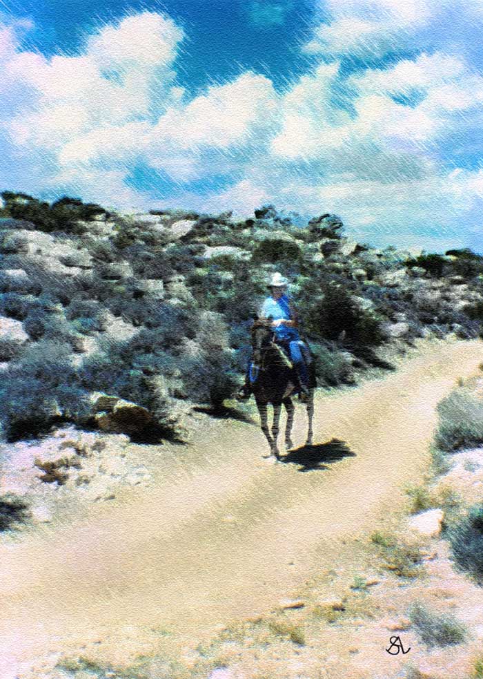 Trail Ride