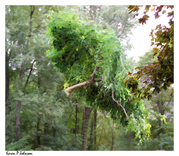 flying_tree9570w.jpg