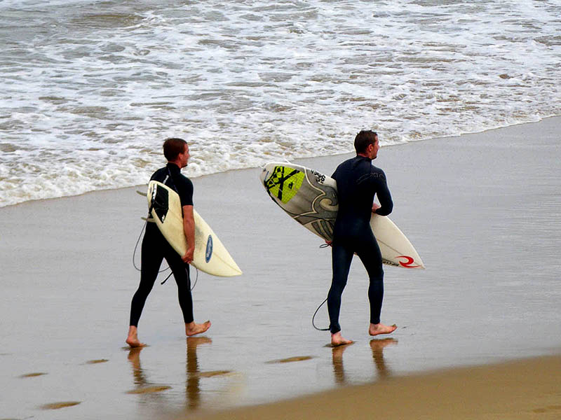 Torquay Surfers